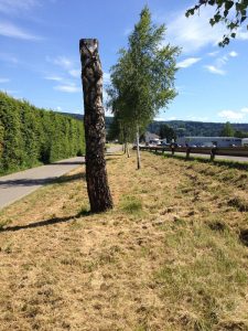 Holzstamm für Wildbienen