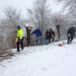 Pflegeeinsatz im Winter am Gill