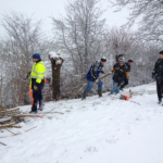 Pflegeeinsatz im Winter am Gill