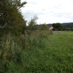 Gillgraben vor der Mahd