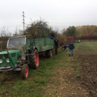 Traktor
