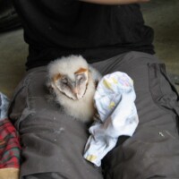 Geduldiges Warten Geduldiges Warten