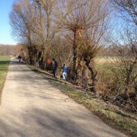 Weidenpflanztag 2013